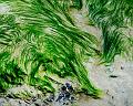 Marine 22_02_09 n02